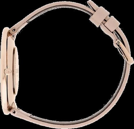 Calvin Klein K8Y236Z6 côté fond de boîtier or rose