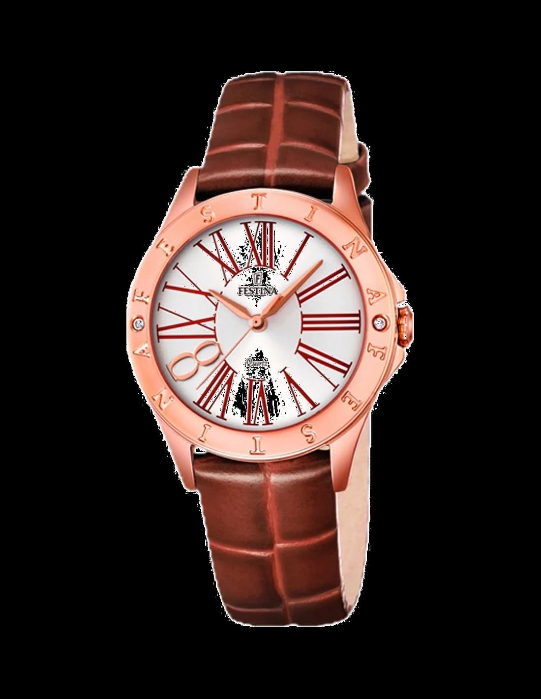 Montre Femme Festina F16930/3 Marron en Acier vue 2