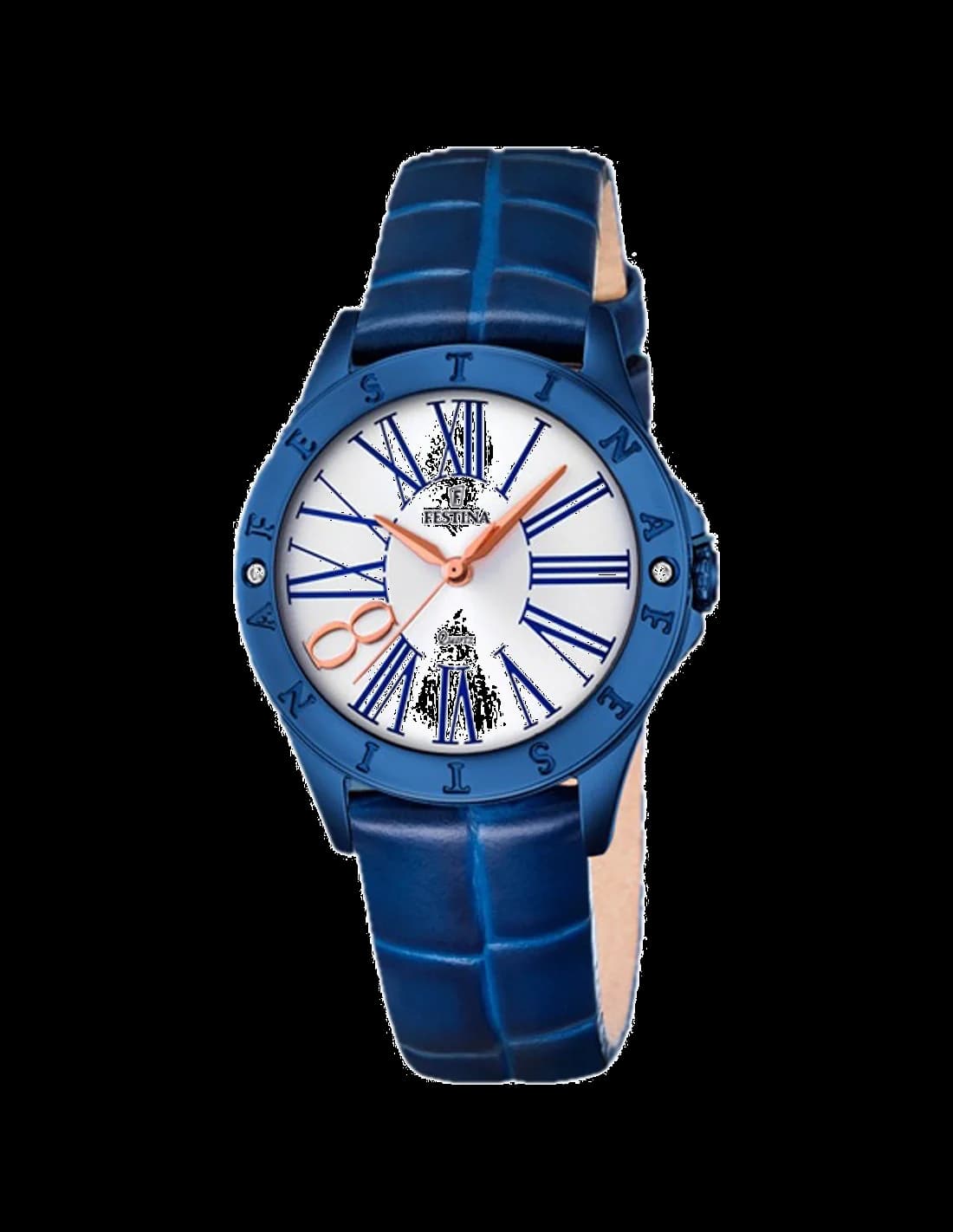 Montre Femme Festina Boyfriend F16931/1 Bleu en Acier Inoxydable vue 2