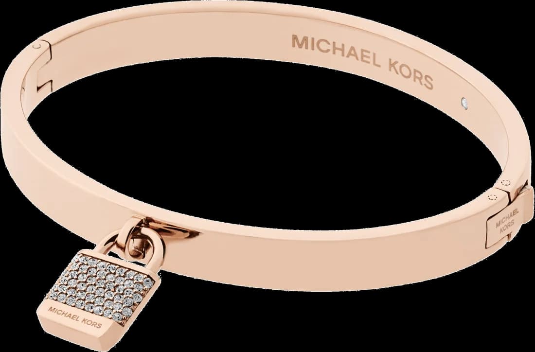 Bracelet Michael Kors MKJ6356791 vue 2