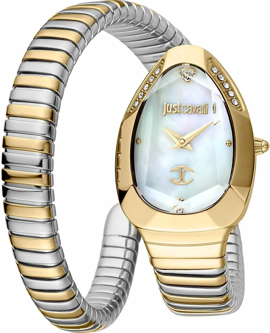 Montre Just Cavalli JC1L208M0065 femme cadran nacre bracelet acier