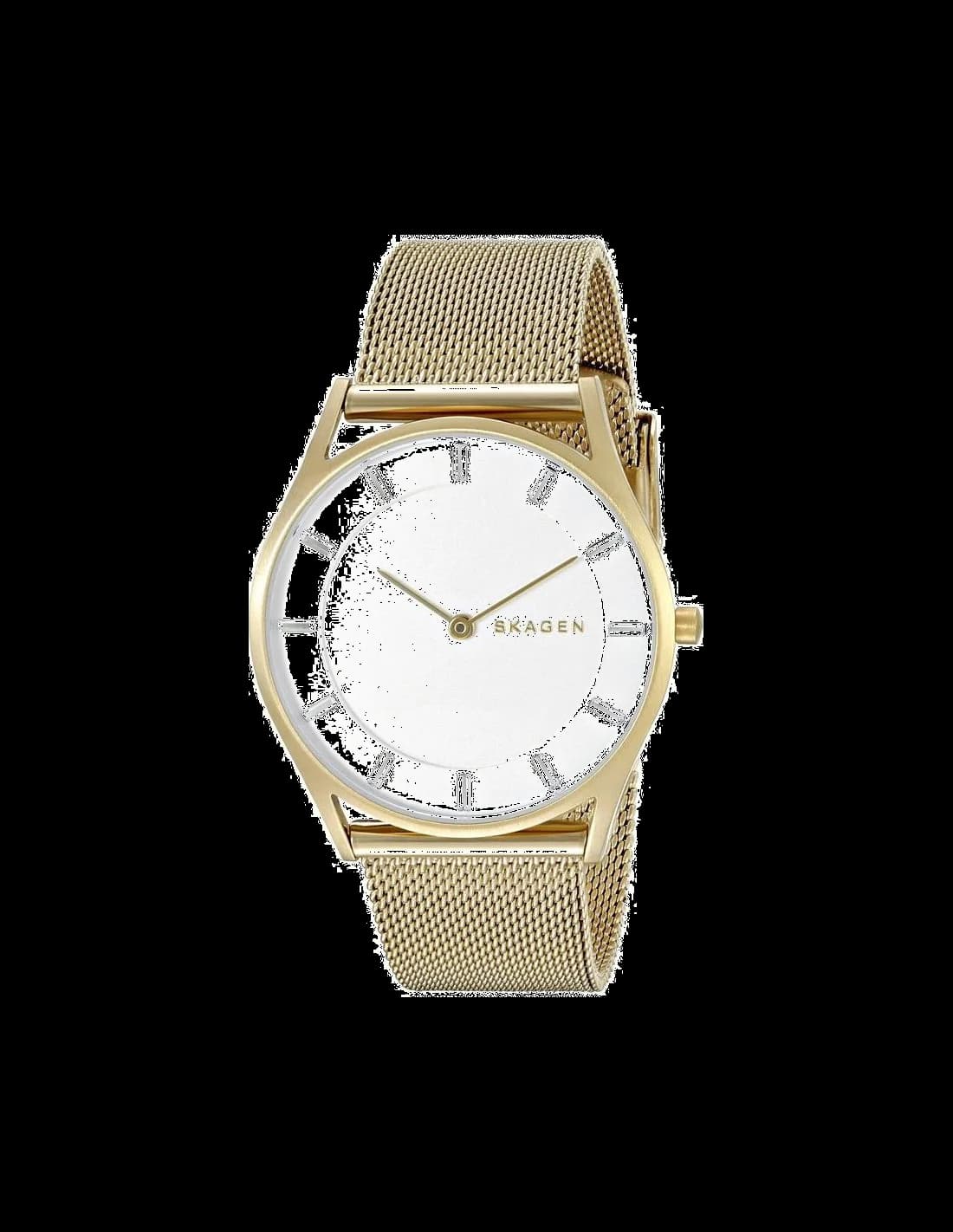Skagen SKW2377 montre femme, cadran blanc, bracelet acier maille milanaise grise