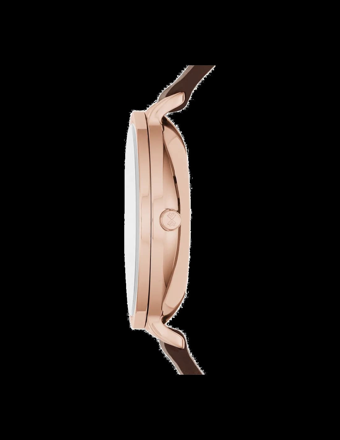 Montre Femme Skagen Hagen SKW2356 Marron vue 2