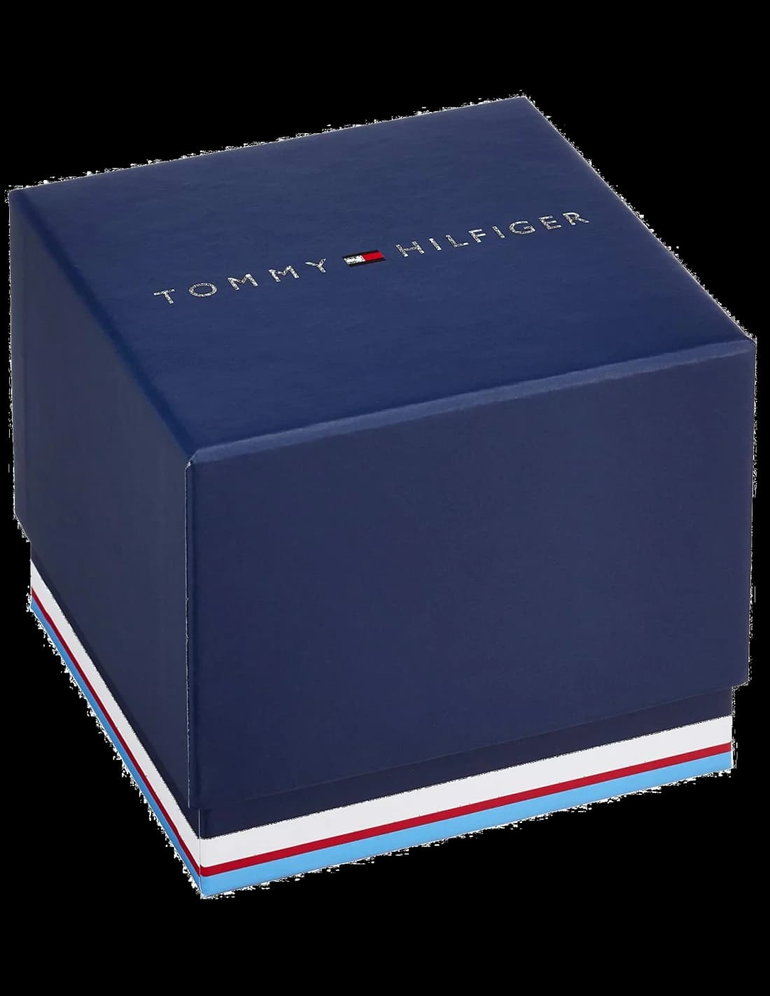 Montre Tommy Hilfiger 1791415 Damon en maille milanaise argentée vue 5