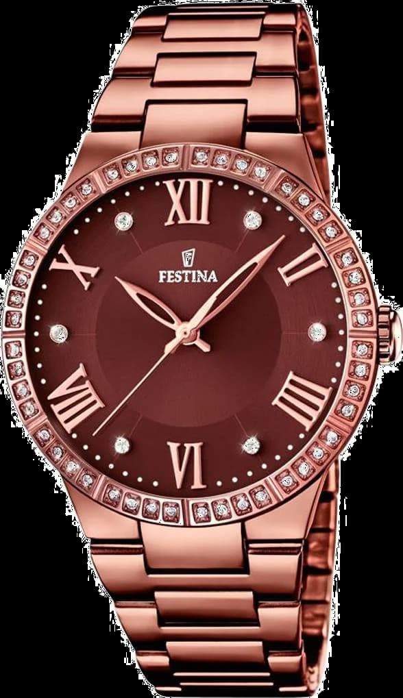 Festina F16801/1 Bronze and Brown Women's Watch with Rhinestone-Set Dial vue 2