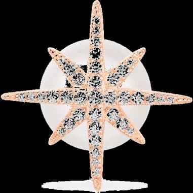APM Monaco PE9109XPLRG montre femme, cadran analogique