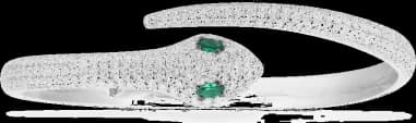 APM Monaco AB4362XKG-M montre femme, jonc serpent en argent et cristaux