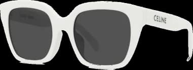 Celine CL40198F 25A montre, cadran havane, monture havane, style monochromes