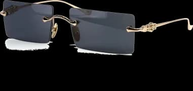 Chrome Hearts HEIIZ BEIIZ sunglasses with rims and rectangular shape