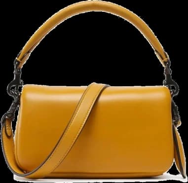 Coach C3880-Y5YE montre, sac bandoulière cuir nappa