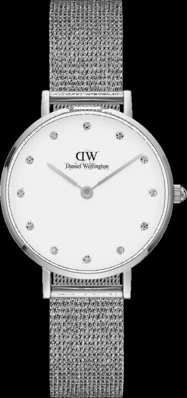 Montre Daniel Wellington DW00100602 Petite Lumine Acier 28mm