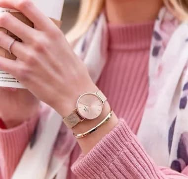 Maillons et fermoir du bracelet acier, Daniel Wellington DW00100516