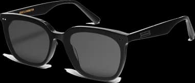Lunettes de soleil Gentle Monster Heizer 01