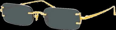 Lunettes de soleil Linda Farrow Taylor LFL1131 forme rectangulaire plaqué or
