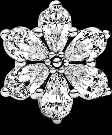 Pandora Timeless Sparkling Herbarium Charm 792623C01 925/1000 silver