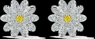 Swarovski 5518145 montre femme, boucles oreilles plaqué rhodium cristaux