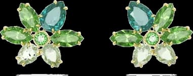 Swarovski 5658400 montre femme, boucles d'oreilles cristaux verts