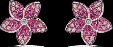 Swarovski 5519254 montre femme, boucles d'oreilles plaqué rhodium cristaux roses et blancs