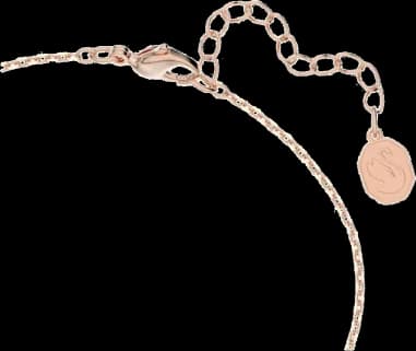 Gros plan sur le cadran de la Swarovski 5645376