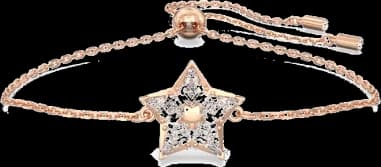 Swarovski 5645460 montre femme, bracelet non valide