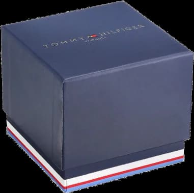 Tommy Hilfiger Harrison 1790875 Aviator men's watch vue 5
