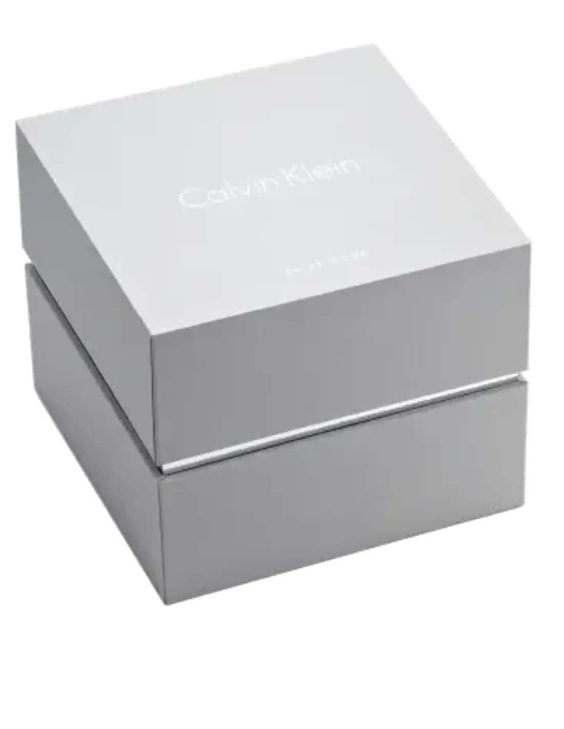 Montre Femme Calvin Klein Classic K4D2314Z Argent