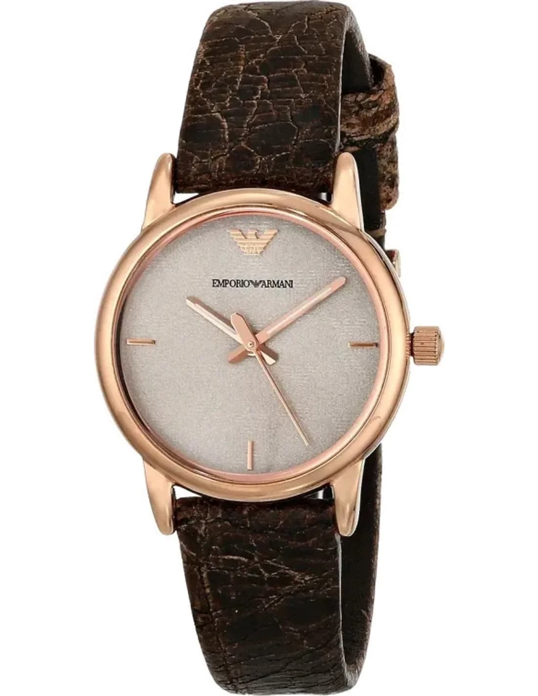 Montre Femme Emporio Armani AR1813 Marron