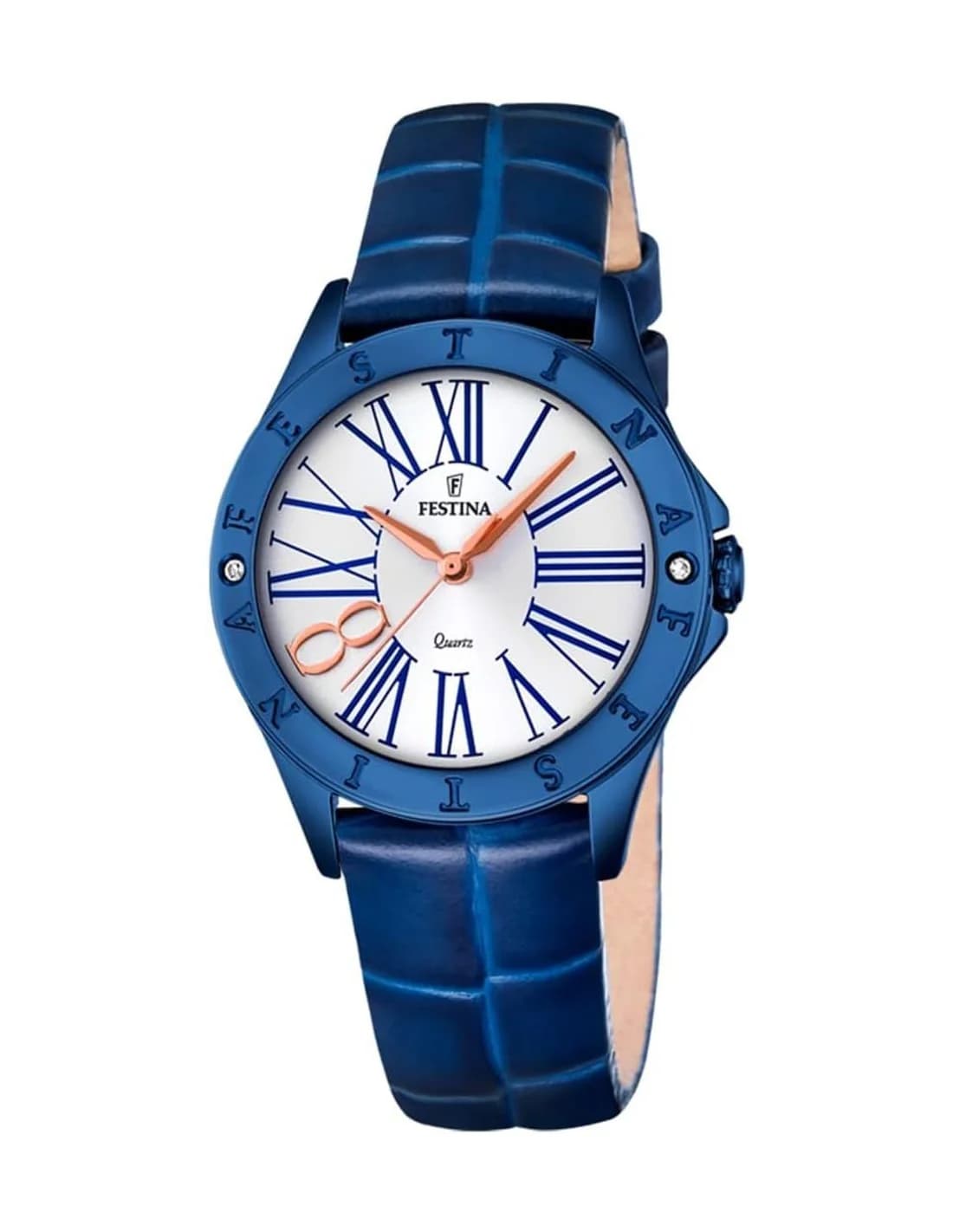 Montre Femme Festina Boyfriend F16931/1 Bleu en Acier Inoxydable