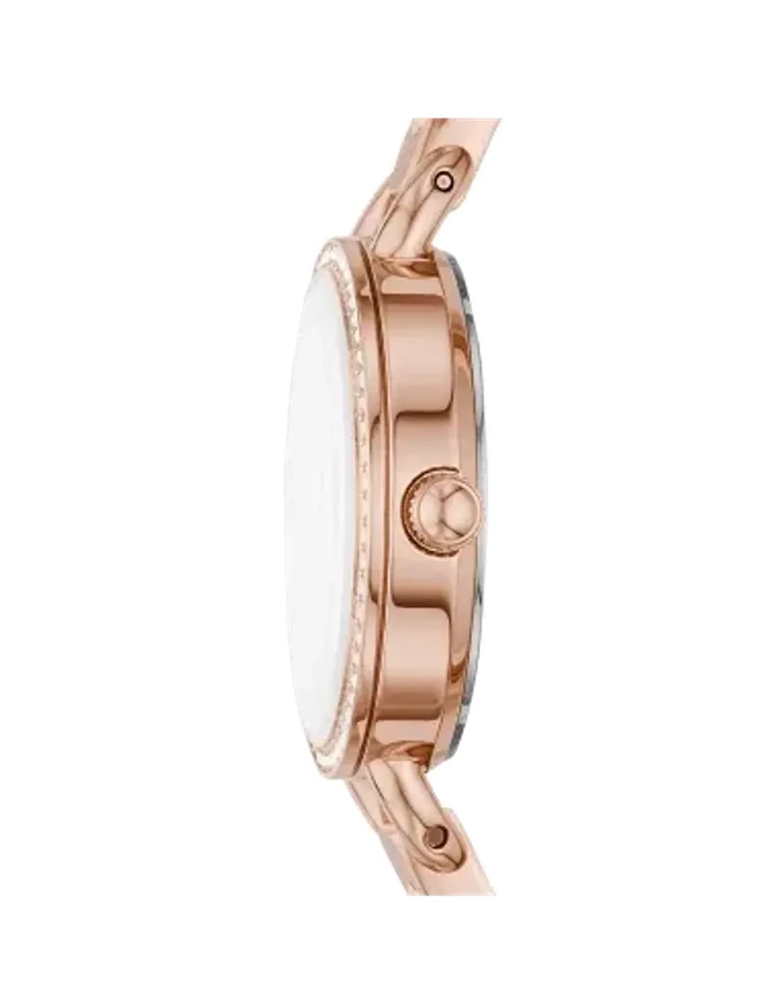 Montre Femme Fossil Classique BQ3163