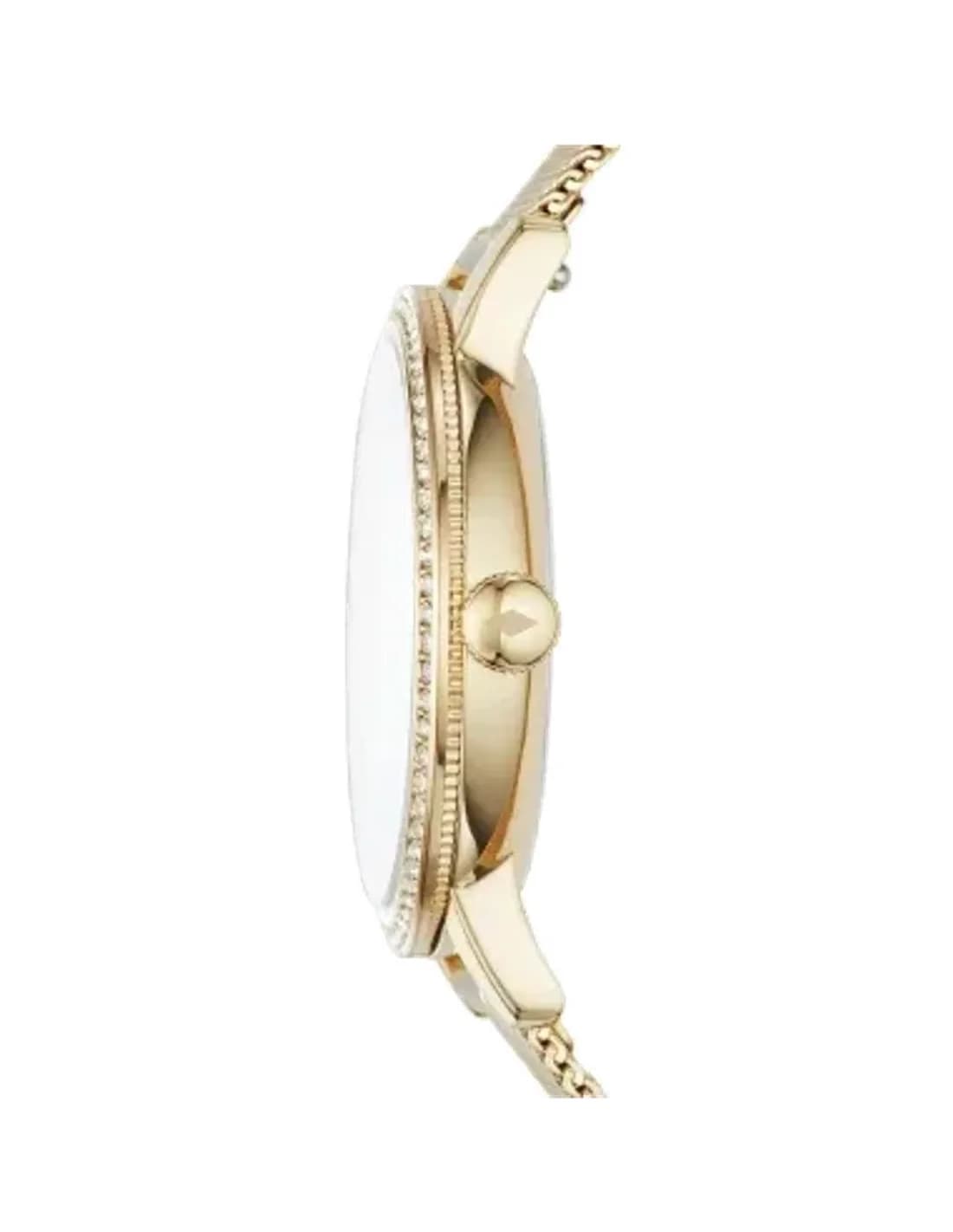 Fossil ES4366 women's watch