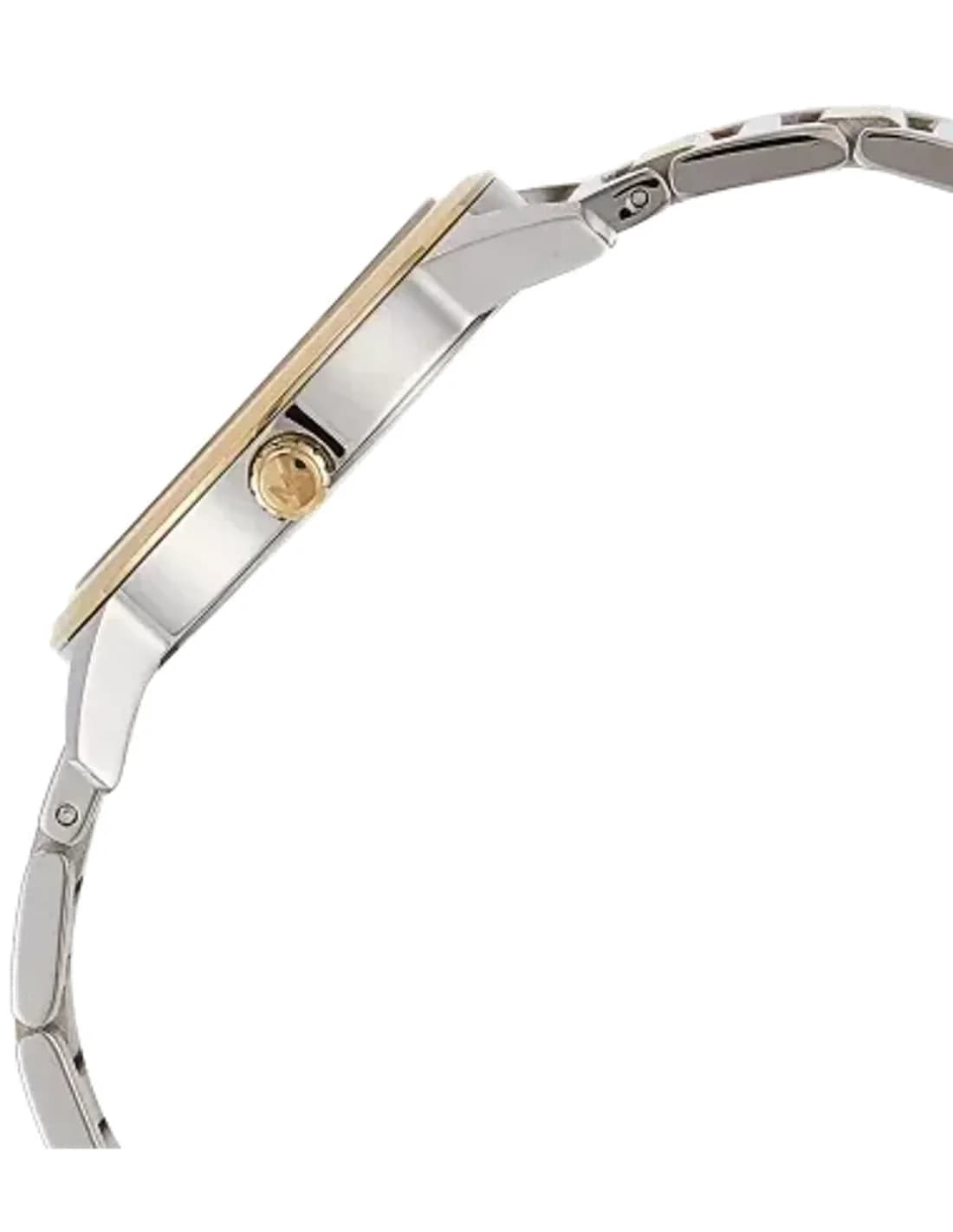 Montre Femme Michael Kors Hartman MK3521 Bracelet en acier
