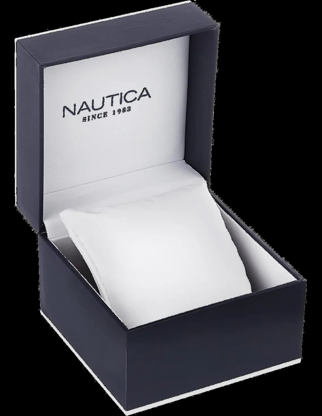Montre Nautica NAPNAI809 homme vue de profil