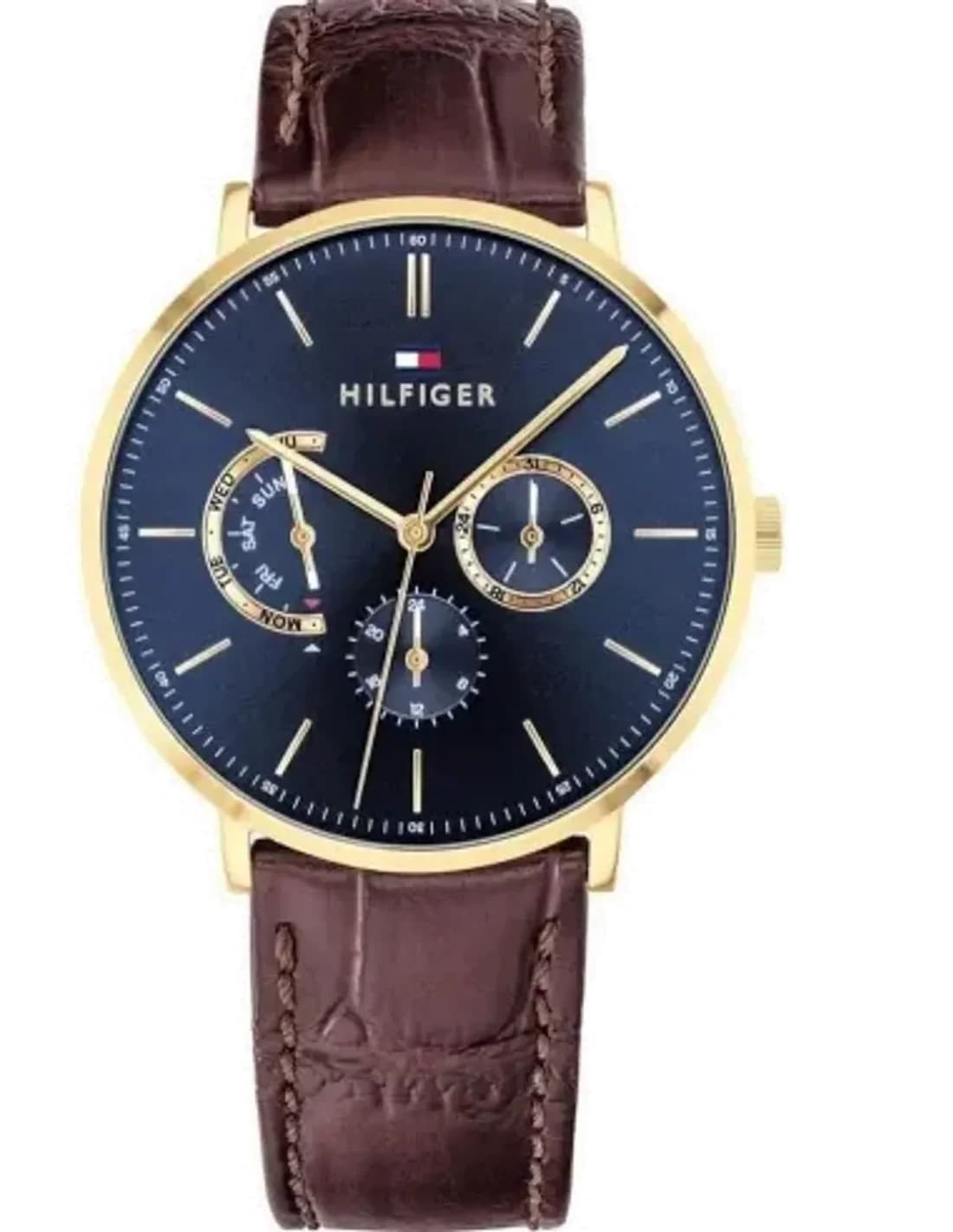 Montre Homme Tommy Hilfiger Dane 1710376