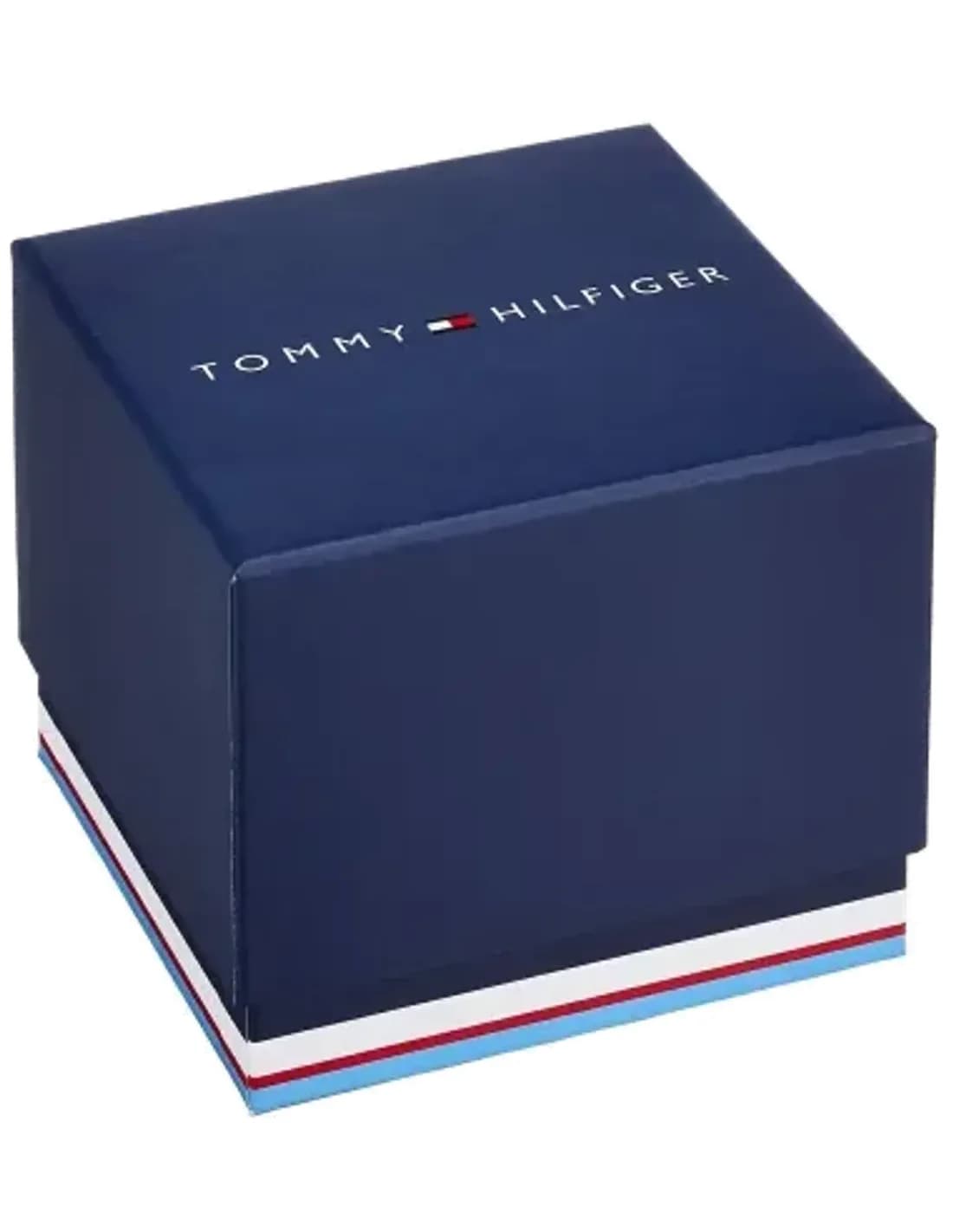 Montre Femme Tommy Hilfiger Ava 1781987