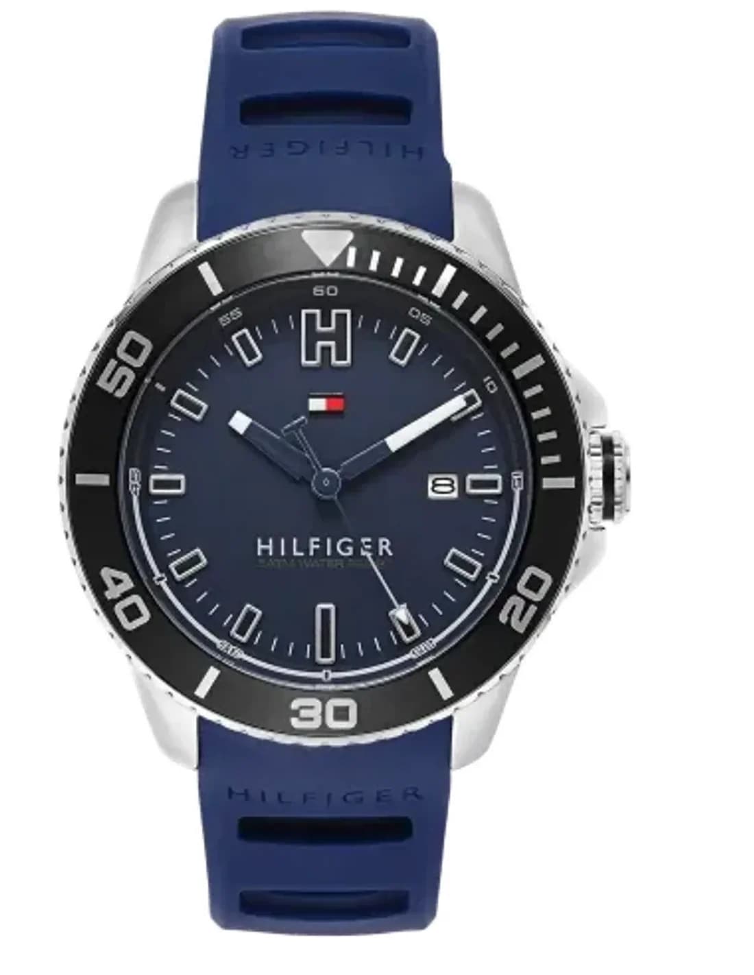 Montre Homme Tommy Hilfiger 1791263 Bleu