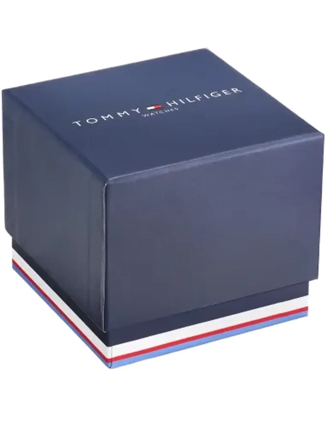 Montre Homme Tommy Hilfiger Hunter 1791607