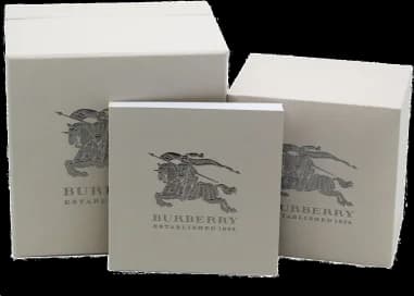 Montre Femme Burberry Heritage BU1853