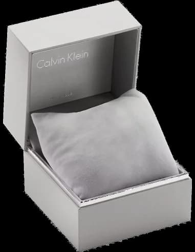 Montre Calvin Klein K3G23126 femme détail bracelet acier