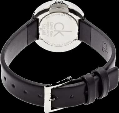 Montre Calvin Klein K3N231C1 femme détail cadran noir
