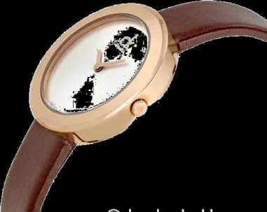 Montre Calvin Klein K3N236G6 femme vue de profil