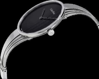 Montre Calvin Klein K6S2N111 femme vue de profil