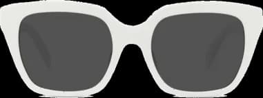 Celine Monochroms CL40198F Acetate Frame Sunglasses vue 2