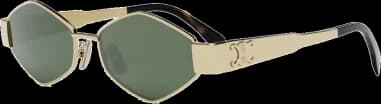 Celine Triomphe 01 Oval CL40254U Geometric Frame Sunglasses vue 2