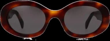 Celine Triomphe 01 Oval Acetate Sunglasses CL40194U vue 2
