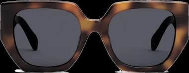 Lunettes de soleil Celine Triomphe CL40239F en acétate vue 2