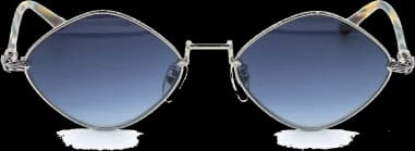 Chrome Hearts Diamond Dog Metal Sunglasses vue 3