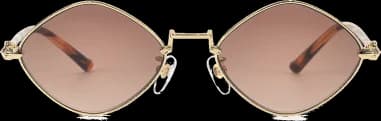 Chrome Hearts Diamond Dog Metal Sunglasses vue 2
