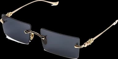 Lunettes de soleil Chrome Hearts HEIIZ BEIIZ cerclés forme rectangulaire vue 3