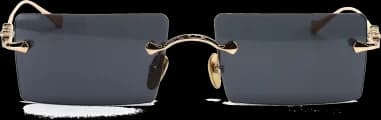 Lunettes de soleil Chrome Hearts HEIIZ BEIIZ cerclés forme rectangulaire vue 2