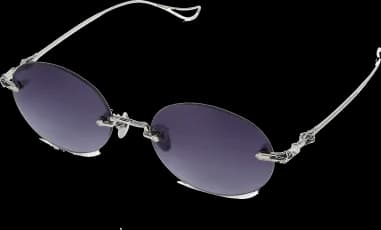 Chrome Hearts Sinnergasm B Oval Metal Frame Sunglasses vue 3